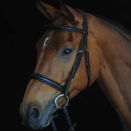 Collegiate Mono Crown Padded Raised Leather Cavesson Bridle with Rubber Reins 