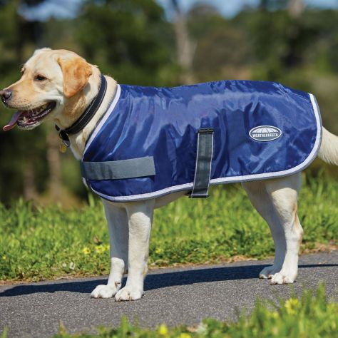 WeatherBeeta Dog Coats