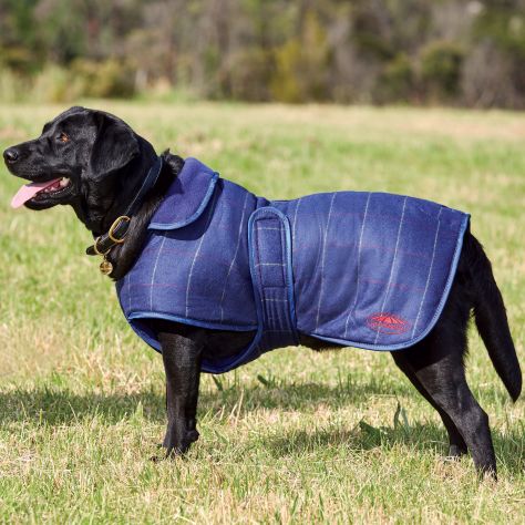 Weatherbeeta Dog Coat Size Chart