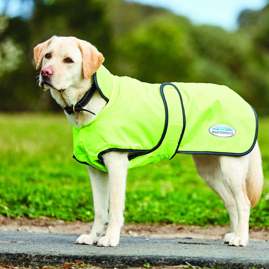 weatherbeeta windbreaker 420d dog coat