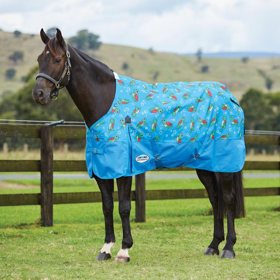 Horses Blankets & Sheets Weatherbeeta Comfitec Essential Standard Neck ...