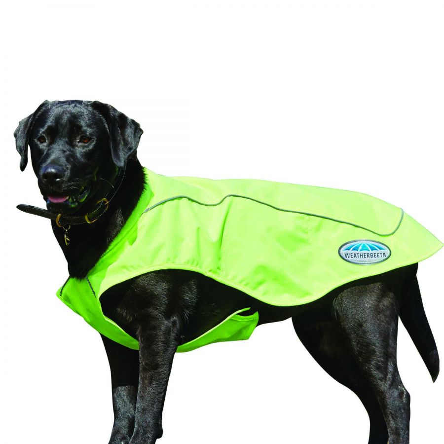 dog reflective coat