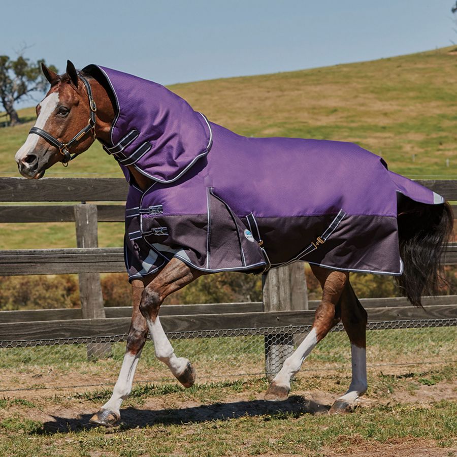 1200D NO FILL PURPLE STAR TURNOUT RUG WITH NECK 4'6" TO 7' 