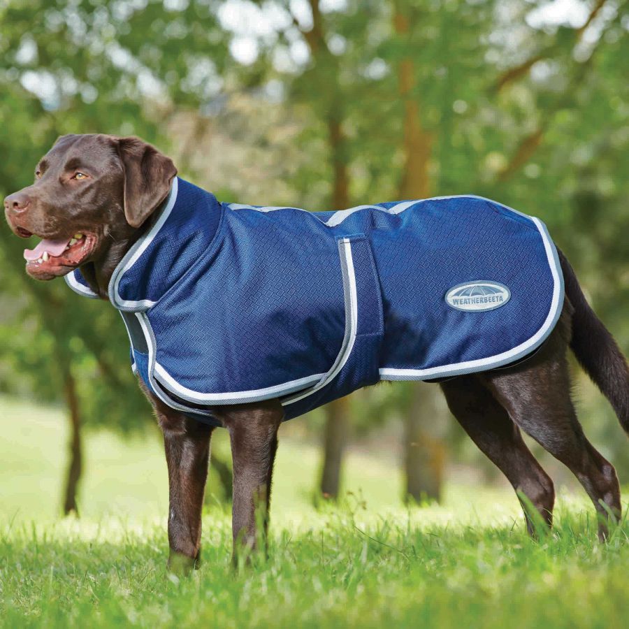 repels dirt and is static free Fe Weatherbeeta Elegance Dog Harness waterproof 