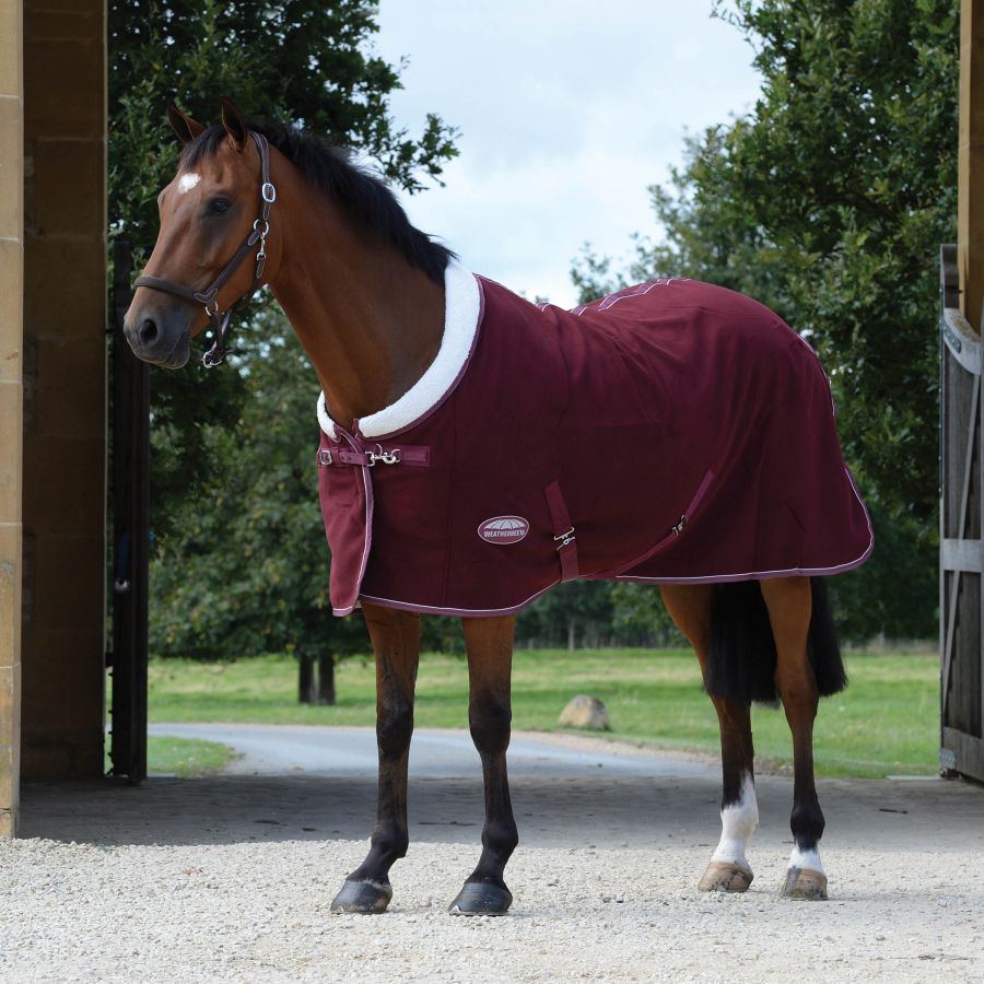 NEW FOR 2019 Gallop Navy Blue Jersey Horse or Pony Cooler Stable Rug Great Price 