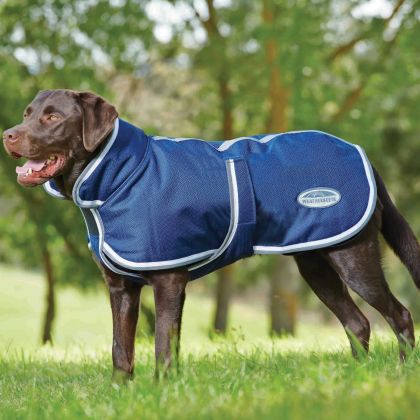 Hundetasche navy Weatherbeeta Dry-Dog Bag 