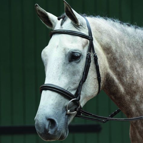 Collegiate Essential Padded Raised Fancy Stitched Cavesson Bridle