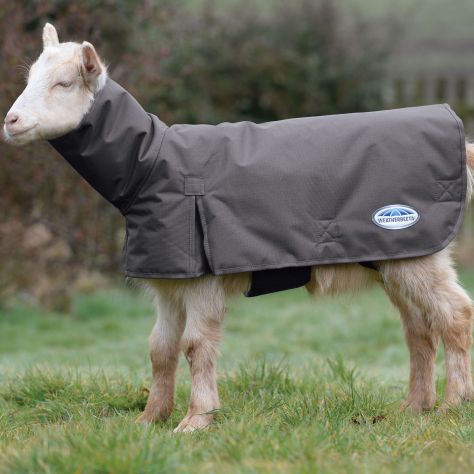 WeatherBeeta Goat Coat with Neck