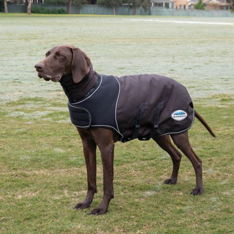 WeatherBeeta ComFiTec Ultra Cozi Dog Coat Medium/Lite
