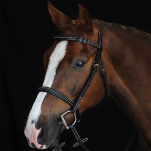 Collegiate Comfort Crown Fancy Stitched Raised Cavesson Bridle