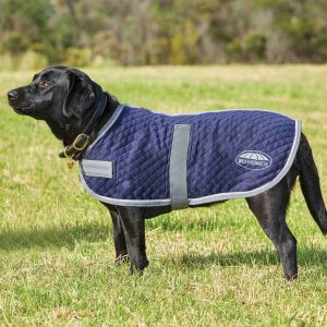 WeatherBeeta Thermic Dog Coat