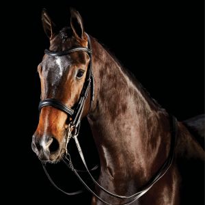 Collegiate ComFiTec Weymouth Bridle