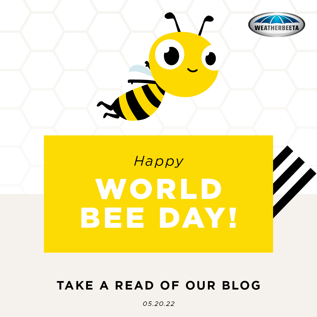 Celebrate World Bee Day with WeatherBeeta & Buddha Bee Apiary