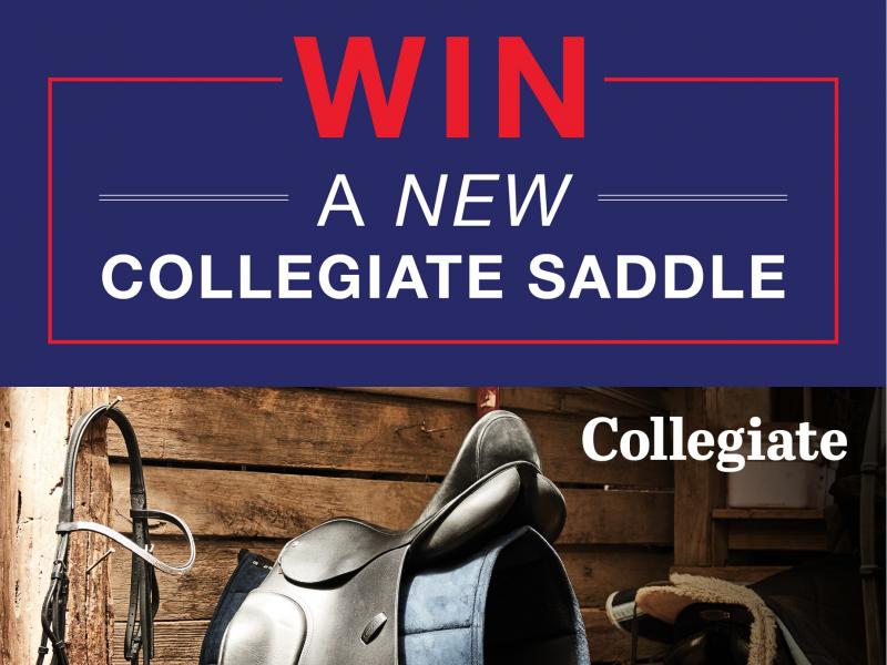 Win 1 of 2 Collegiate Honour Close Contact Saddles!