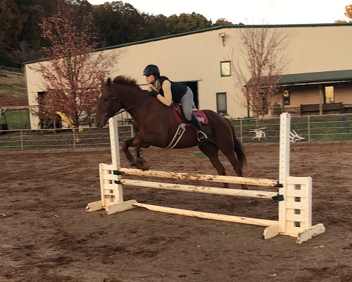 Saddle Review: University of Tennessee