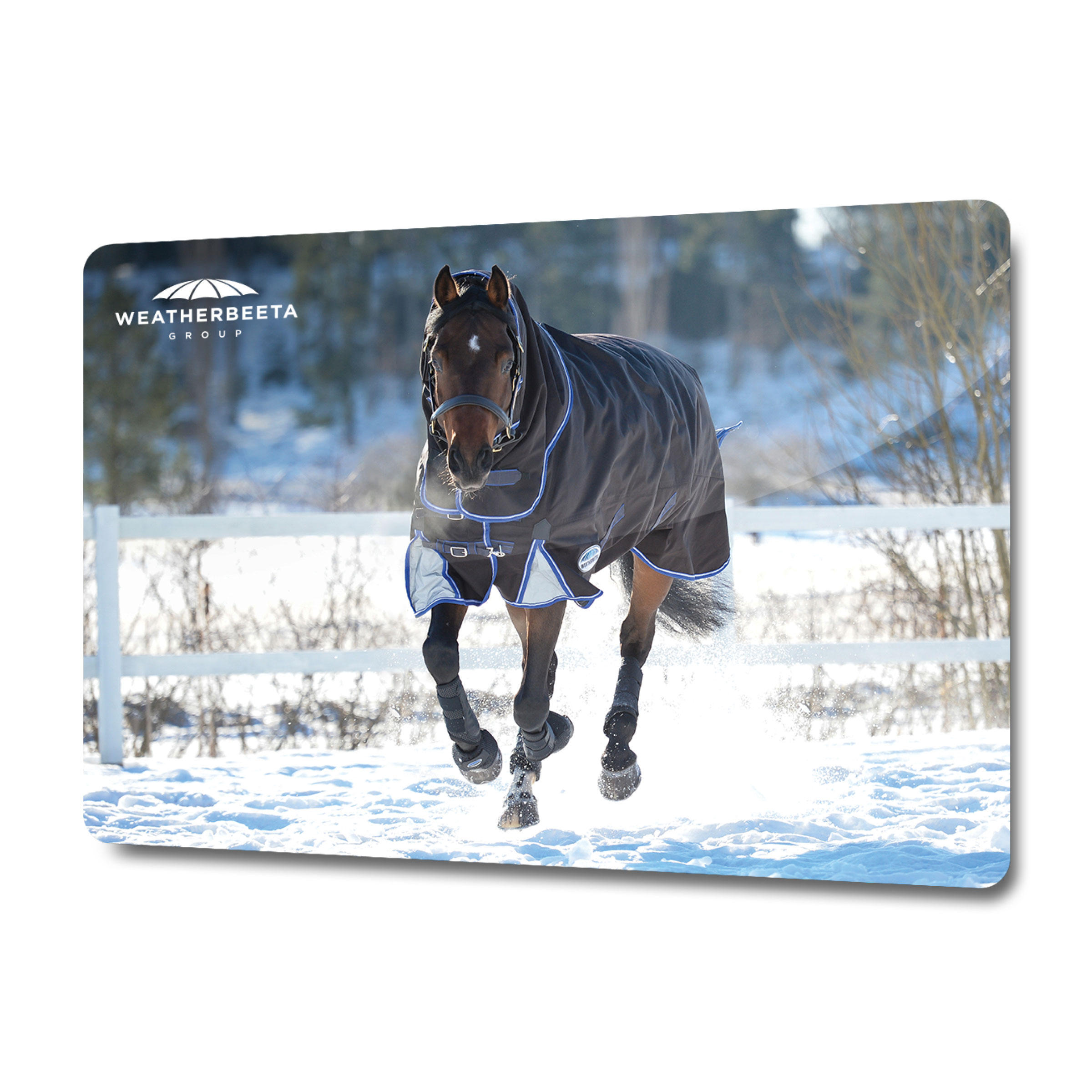 WeatherBeeta Horse