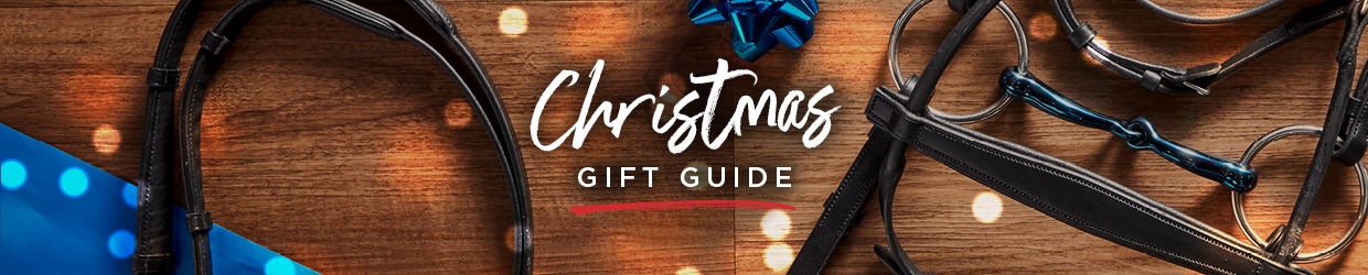 holiday gift guide 2022