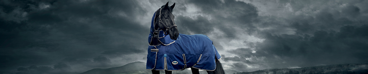 Ultimate Horse Blanket Size Guide: Find the Perfect Fit for Your Equine  Companion