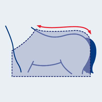 Blanket Sizes And Dimensions Guide