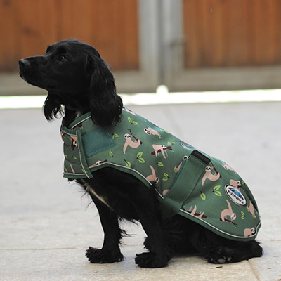 https://www.weatherbeeta.com/pets/dog-coats