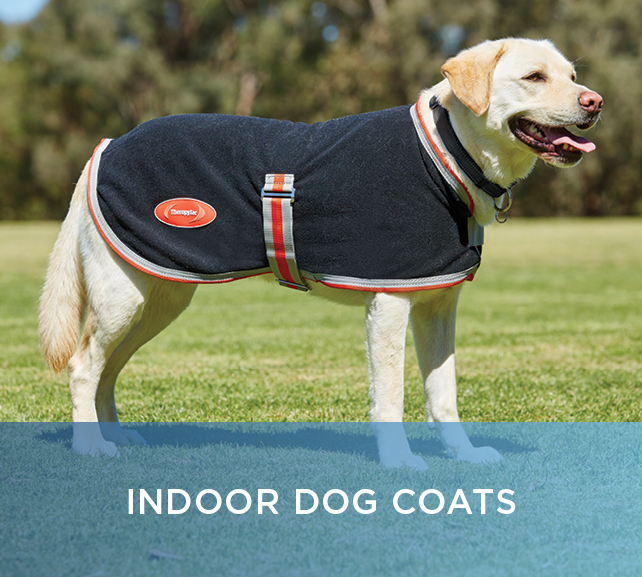 Indoor Dog Coats
