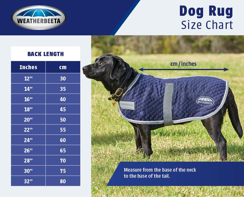 Weatherbeeta Horse Blanket Size Chart