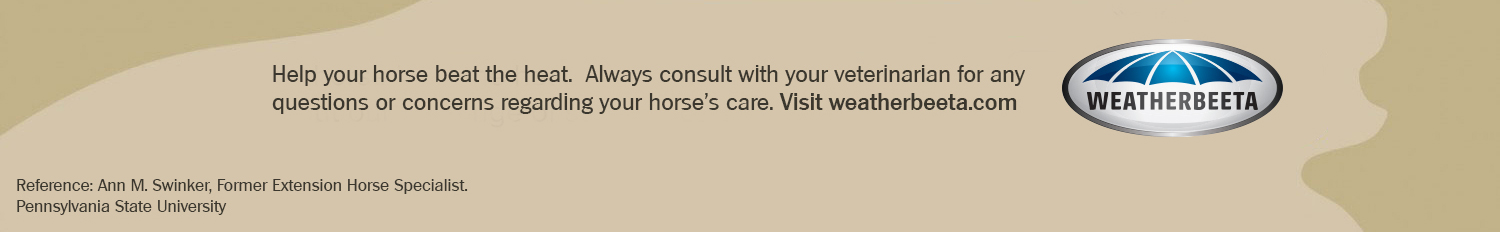 Always consult with your veterinarian
