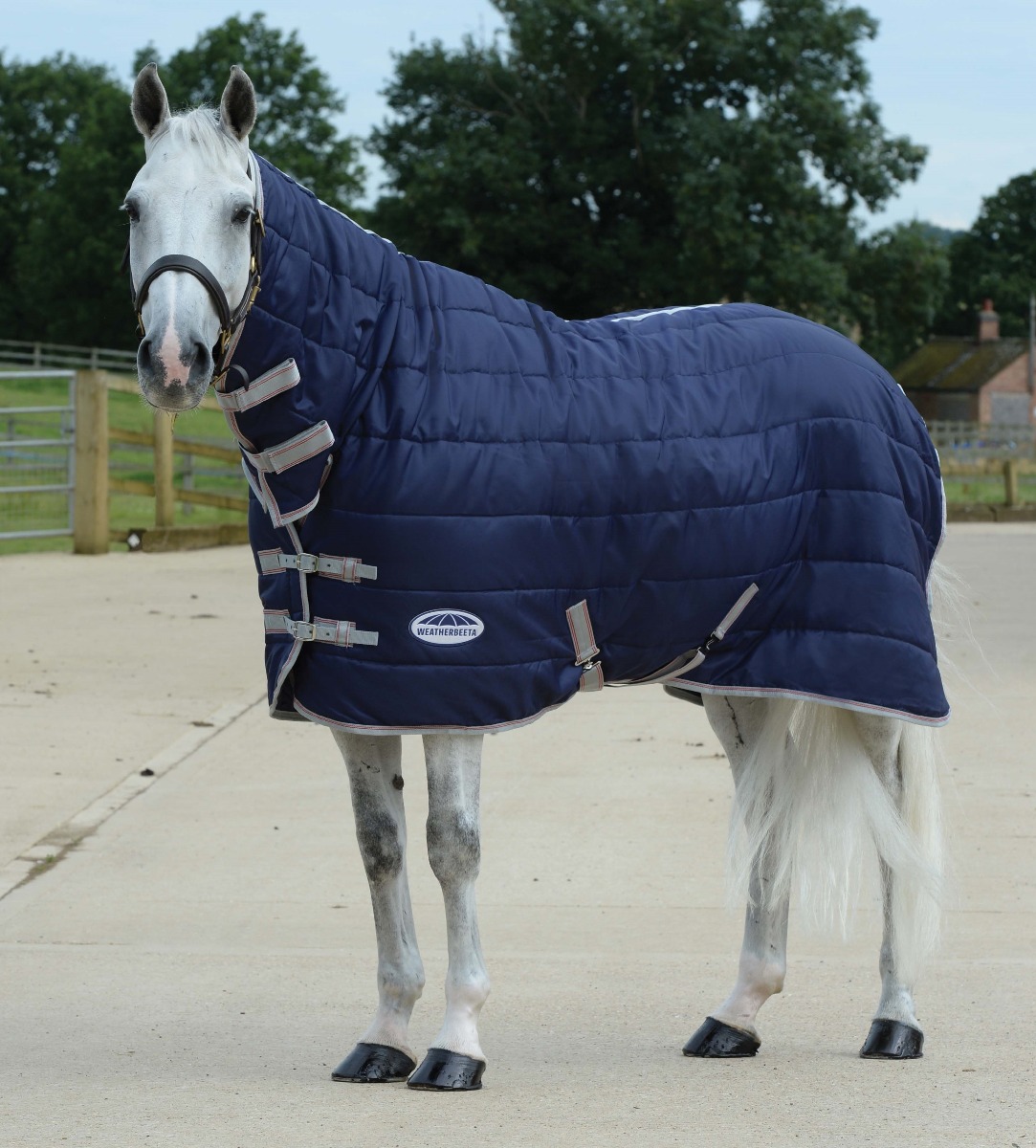 unique horse blankets