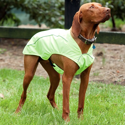 Generic Dog Coat Sizing