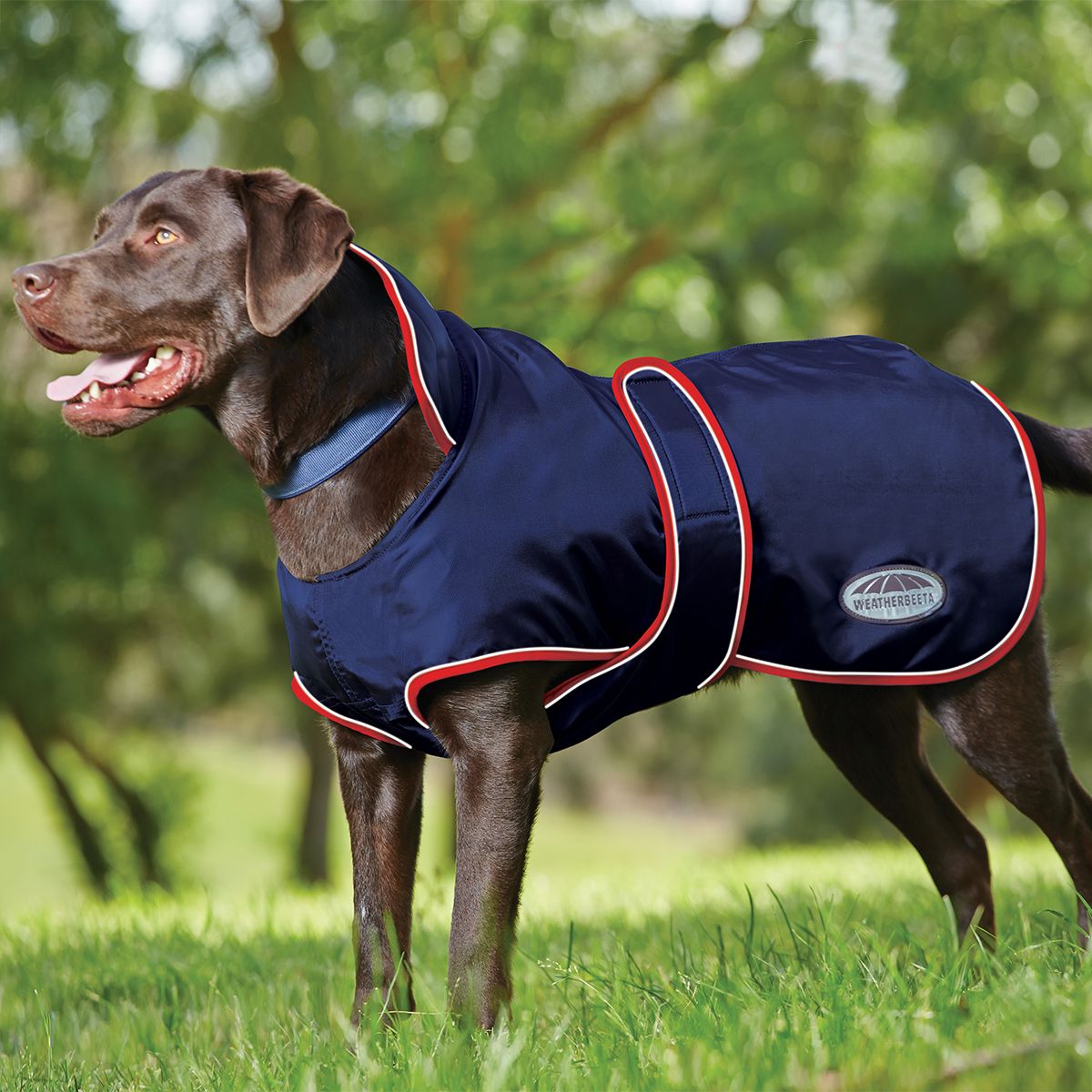 Weatherbeeta Dry-Dog Bag-Navy-Borsa per cani 