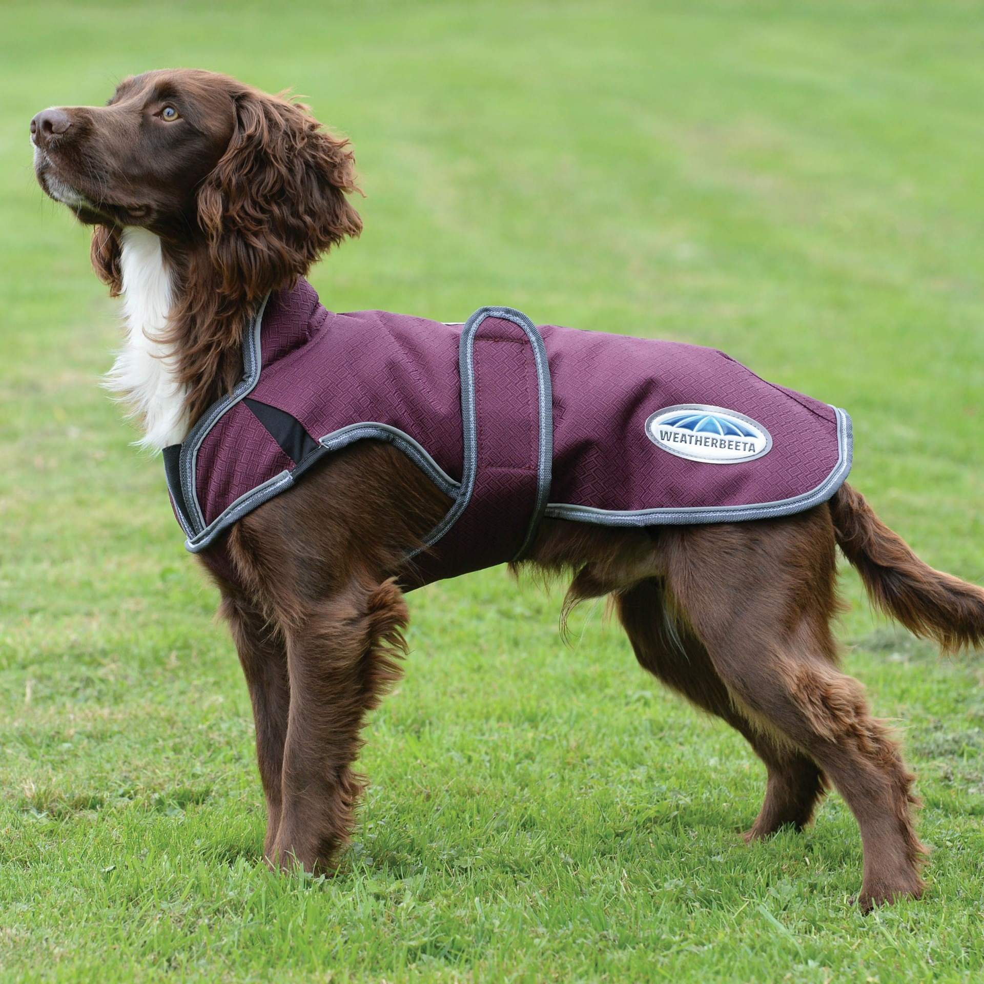 Weatherbeeta Comfitec Fleece Dog Jumper Ideal for use after a walk to help dr... 
