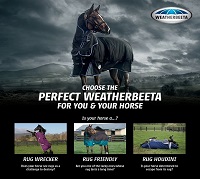 Choose the Perfect WeatherBeeta for You & Your Horse