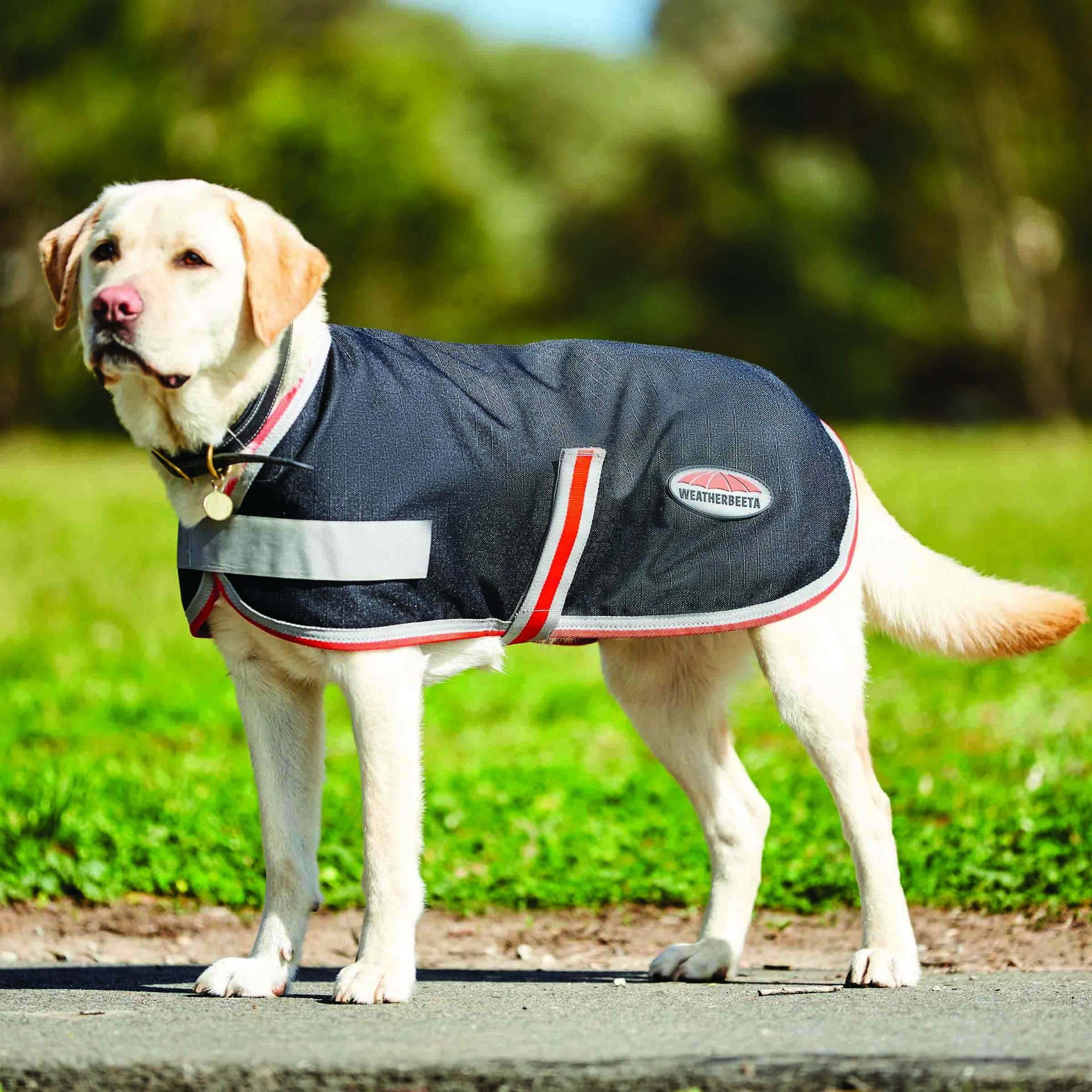 WeatherBeeta ComFiTec Therapy-Tec Dog Coats
