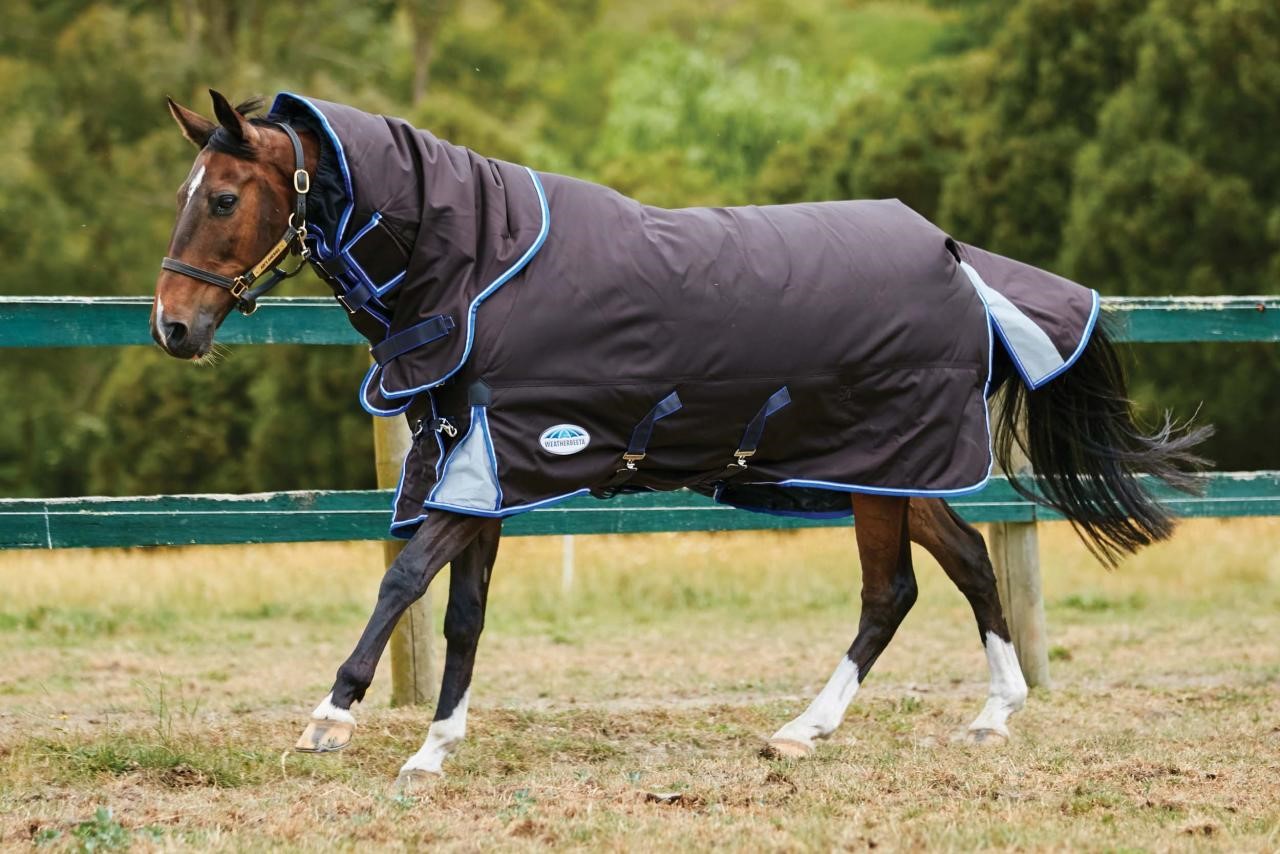 Why Blanket Your Horse