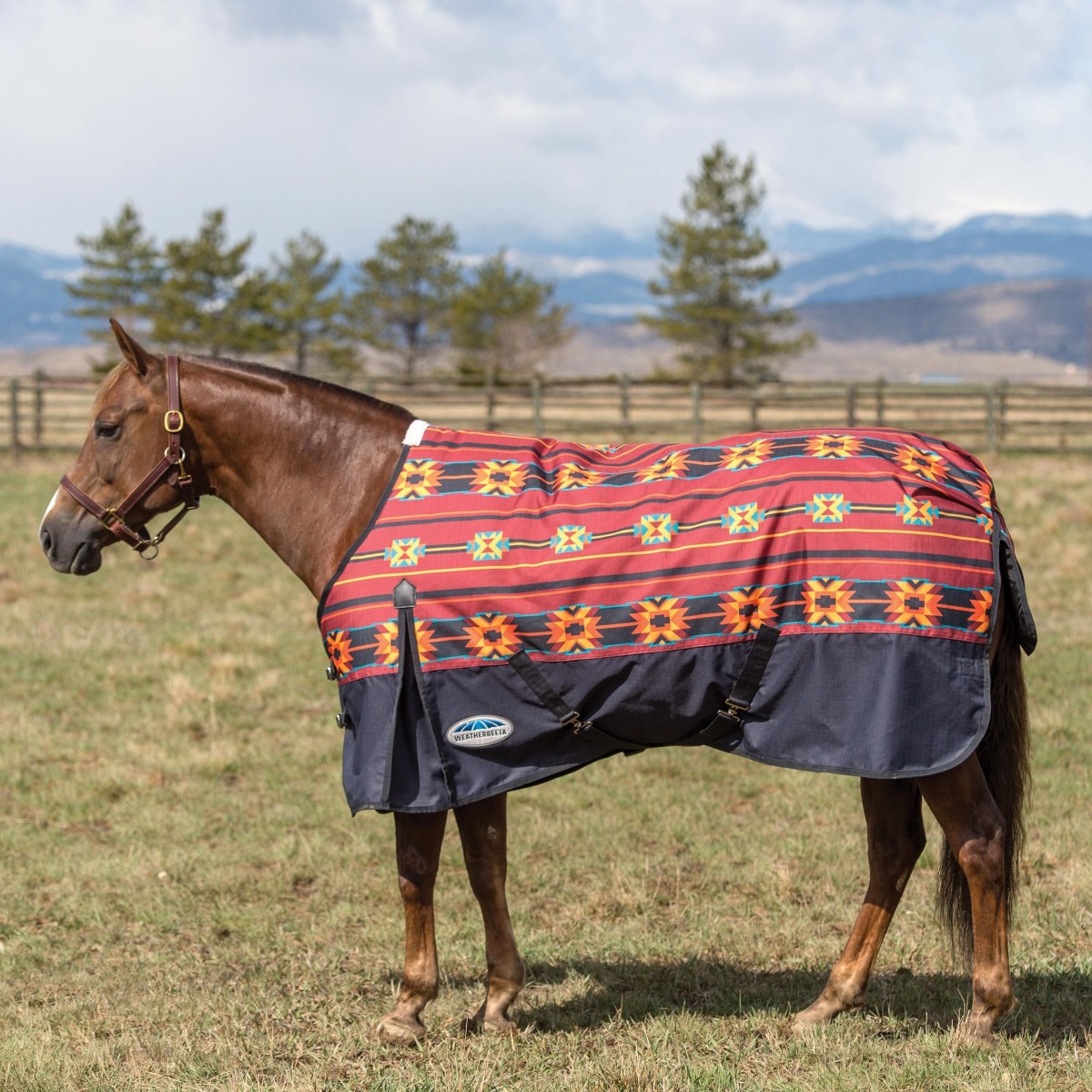 Weatherbeeta Horse Blanket Size Chart
