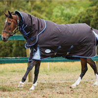 Why blanket your Horse