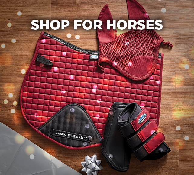 gifts for horses