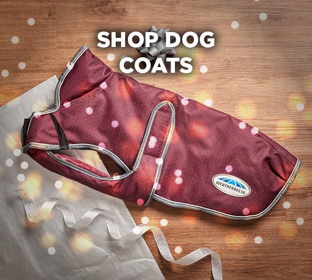 shop dog coats