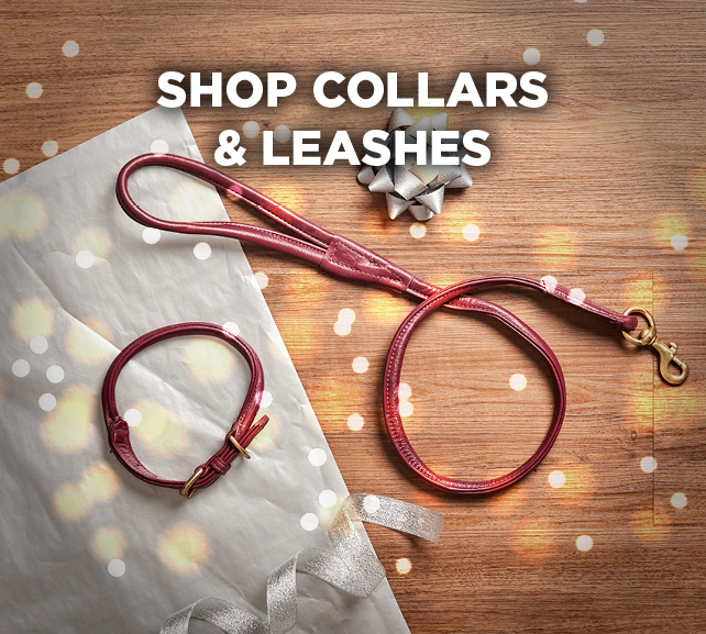 shop collars & leashes